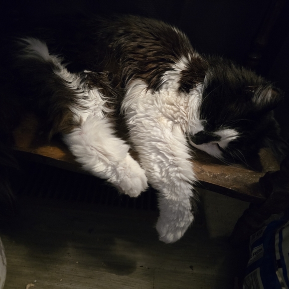 Meet your Posher, Jen - Picture 2 of 2